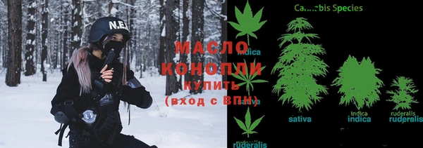 тгк Гусиноозёрск
