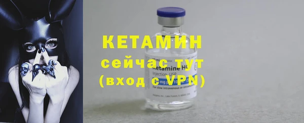 ПСИЛОЦИБИНОВЫЕ ГРИБЫ Гусь-Хрустальный