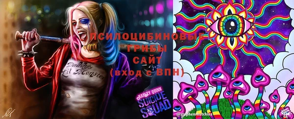 ПСИЛОЦИБИНОВЫЕ ГРИБЫ Гусь-Хрустальный