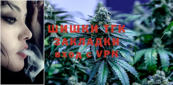 кокс Гусев