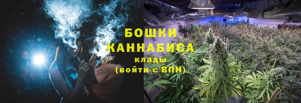 ПСИЛОЦИБИНОВЫЕ ГРИБЫ Гусь-Хрустальный