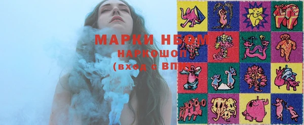 ПСИЛОЦИБИНОВЫЕ ГРИБЫ Гусь-Хрустальный