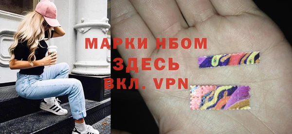 ПСИЛОЦИБИНОВЫЕ ГРИБЫ Гусь-Хрустальный