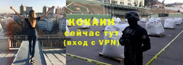 кокс Гусев