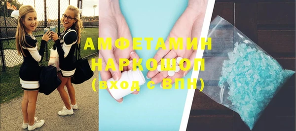 ПСИЛОЦИБИНОВЫЕ ГРИБЫ Гусь-Хрустальный