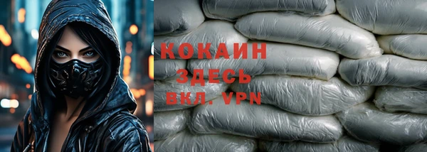 ПСИЛОЦИБИНОВЫЕ ГРИБЫ Гусь-Хрустальный
